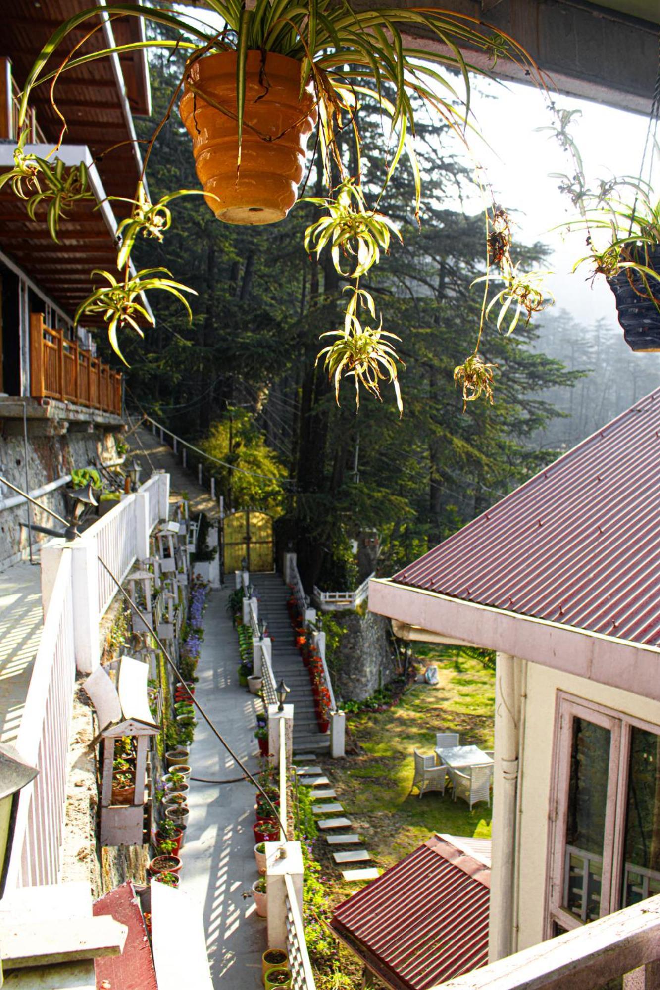 Whispering Pines Villa Shimla Buitenkant foto